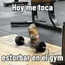 Stickers Pal gym 💪🏻🏋🏻