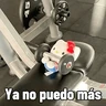 Stickers Pal gym 💪🏻🏋🏻