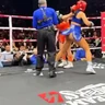 Stickers Karely Ruiz Karina /Yina C🥊