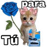 Stickers Hot wheels 🏎️ Ramo azul 💐💙