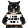 Stickers 😾 Gatos haters 🐈‍⬛Hate morning