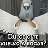 Stickers Halloween Migajeras 🐦