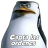 Stickers MADAGASCAR 3 