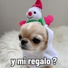 Stickers 🐶🎄🐶 Perro modo Navidad 🐶🎄🐶