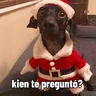 Stickers 🐶🎄🐶 Perro modo Navidad 🐶🎄🐶