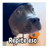 Stickers frío de perros 🥶🐕