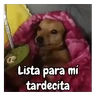 Stickers frío de perros 🥶🐕