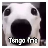 Stickers frío de perros 🥶🐕