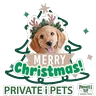 Stickers PRIVATE i PETS Xmas & New Year 2026