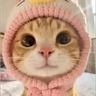 Stickers Gatinhos + preguiça + frio