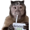 Stickers Monitos reacciones🐒🐵