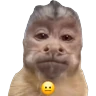 Stickers Monitos reacciones🐒🐵