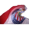 Stickers Chivas