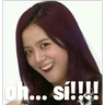 Stickers blackpink memes