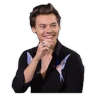 Stickers HARRY STYLES