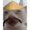 Stickers Gato Calajo - Meme chino 🧧👲🐱
