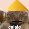 Stickers Gato Calajo - Meme chino 🧧👲🐱