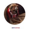 Stickers AntiChivas V1