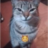 Stickers Mis pegatinas