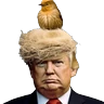 Stickers Trump 