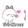 Stickers Amor lovely rabbit 💘🐰