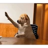 Stickers tiktok reactions pt2