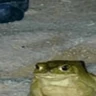 Stickers 🐸 Ranitas Random 🐸
