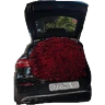 Stickers SERENATA WHATS
