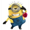 Stickers 💛 MINIONS MOODS 💛