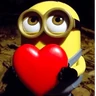 Stickers 💛 MINIONS MOODS 💛