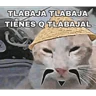 Stickers Memes pal trabajo 2026 😂