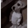 Stickers tiktok comentarios pt2