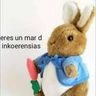 Stickers estikers chisyosos