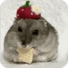 Stickers Hamster lindos para el chat💕