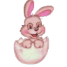Stickers Felices Pascuas 🐰🐇🥳
