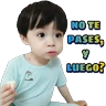 Stickers memes covid-19 