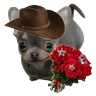 Stickers Memes lindos - San Valentin💕