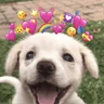 Stickers Memes lindos - San Valentin💕