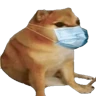 Stickers PERRITO MEME (CHEEMS) 