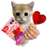 Stickers San Valentín 2 ♥️ Paleta 🍭