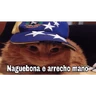 Stickers Venezuela Stickers🔥