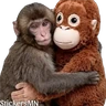 Stickers 🐵Stuffed Monkey 🐒 @Stickers_MN