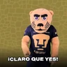 Stickers pumas goyo mx