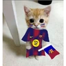 Stickers BARCELONA❤️💙