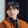 Jungkook (BTS) 🐰