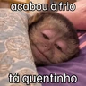 Macaquinhos + frio