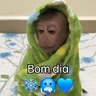 Macaquinhos + frio