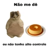 Stickers meme gatos
