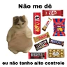 Stickers meme gatos