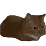Stickers Hachimi chimichi📲Gatos michis🐱